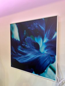 WhatsApp Image 2025-08-19 at 08.37.10 (6)